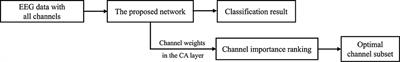 A learnable EEG channel selection method for MI-BCI using efficient channel attention